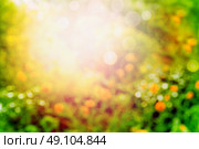 Blurred summer garden or park nature background with sunlight and bokeh. Стоковое фото, агентство Ingram Publishing / Фотобанк Лори