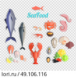 Seafood set design flat fish and crab. Lobster and food oyster, fresh seafood, shrimp and menu octopus animal, shellfish lemon, fresh seafood vector illustration. Стоковая иллюстрация, агентство Ingram Publishing / Фотобанк Лори