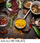 Herbs and spices selection with curry and staghorn sumac powder , close up. Стоковое фото, агентство Ingram Publishing / Фотобанк Лори