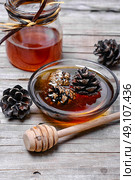 jam from the young fir cones. Стоковое фото, агентство Ingram Publishing / Фотобанк Лори