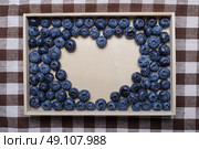 berries Blueberry. Стоковое фото, агентство Ingram Publishing / Фотобанк Лори