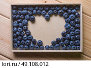 berries Blueberry. Стоковое фото, агентство Ingram Publishing / Фотобанк Лори