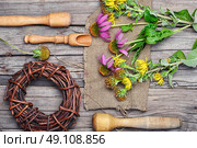 medicinal plant. Стоковое фото, агентство Ingram Publishing / Фотобанк Лори