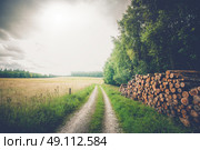 Wooden logs by a roadside in a countryside landscape. Стоковое фото, агентство Ingram Publishing / Фотобанк Лори