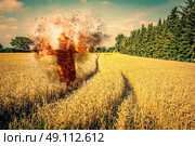 Scarecrow on fire on a field with dry grain. Стоковое фото, агентство Ingram Publishing / Фотобанк Лори