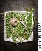 Rosemary plant with a skein of rope and old scissors on rustic wooden background , top view. Стоковое фото, агентство Ingram Publishing / Фотобанк Лори