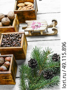 Wild nuts for Christmas. Christmas card with assortments of nuts and decorative sled. Стоковое фото, агентство Ingram Publishing / Фотобанк Лори