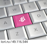 The .gi domain name on a keyboard key. Стоковое фото, агентство Ingram Publishing / Фотобанк Лори