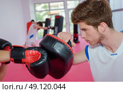 sparring partner. Стоковое фото, агентство Ingram Publishing / Фотобанк Лори