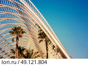 Beautiful Palm Trees In Greenhouse. Стоковое фото, агентство Ingram Publishing / Фотобанк Лори