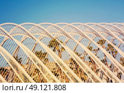 Beautiful Palm Trees In Greenhouse. Стоковое фото, агентство Ingram Publishing / Фотобанк Лори