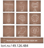 human organs in sketches style set. Стоковая иллюстрация, агентство Ingram Publishing / Фотобанк Лори