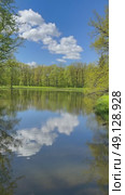Beautiful panoramic vertical video of spring forest park. A quiet pond with paths along the banks, fresh young foliage on  trees and mirror reflection of clouds in country park. Стоковое видео, видеограф Виктория Катьянова / Фотобанк Лори