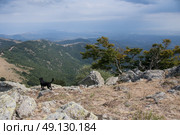 A view from the French/Spanish Pyrenean Border. Стоковое фото, агентство Ingram Publishing / Фотобанк Лори