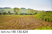 Arable spring land. Green spring farmland. Sunny rural spring landscape of South Moravia, Czech Republic. Trees near the countryside road. Стоковое фото, агентство Ingram Publishing / Фотобанк Лори