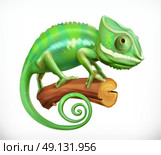 Chameleon. 3d vector icon. Стоковая иллюстрация, агентство Ingram Publishing / Фотобанк Лори