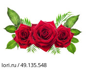 three red roses with leaves on white background, flowers object. Стоковое фото, агентство Ingram Publishing / Фотобанк Лори