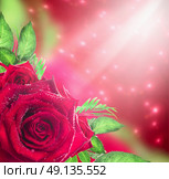 Red roses background with light and bokeh, holiday floral border. Стоковое фото, агентство Ingram Publishing / Фотобанк Лори