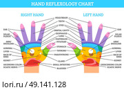 Hand Reflexology Chart. Colorful right and left hand reflexology chart with description of corresponding organs and body parts on white background flat vector illustration. Стоковая иллюстрация, агентство Ingram Publishing / Фотобанк Лори