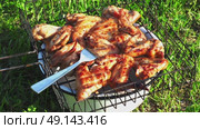 Hot Spicy Smoky chicken wings on grass. Стоковое видео, видеограф Елизавета Малкова / Фотобанк Лори