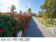 Valencia Puente de las Flores flowers bridge in Spain. Стоковое фото, агентство Ingram Publishing / Фотобанк Лори