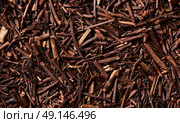 kukicha tea macro detail texture background. Стоковое фото, агентство Ingram Publishing / Фотобанк Лори