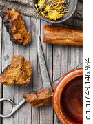 herbs calendula and inonotus obliquus. pieces of crushed chaga Birch fungus and dried flowers calendar. Стоковое фото, агентство Ingram Publishing / Фотобанк Лори