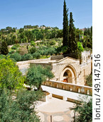 The Tomb of Mary. This is regarded to be the burial place of Mary, Mother of Jesus. Jerusalem, Israel. Стоковое фото, агентство Ingram Publishing / Фотобанк Лори