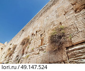The wailing wall in Jerusalem city, Israel. Стоковое фото, агентство Ingram Publishing / Фотобанк Лори
