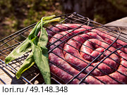 Uncooked sausages for barbecue. Travel kielbasa cooking. Picnic outdoors. Стоковое фото, агентство Ingram Publishing / Фотобанк Лори