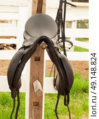 dressage saddle at  the bracket. outdoor . Стоковое фото, агентство Ingram Publishing / Фотобанк Лори