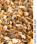 high quality natural sportive  muesli background. for horse. close up. Стоковое фото, агентство Ingram Publishing / Фотобанк Лори
