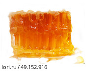 Honeycomb close up on the white. Стоковое фото, агентство Ingram Publishing / Фотобанк Лори
