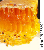 golden fresh Honeycomb and bee pollen. close up. Стоковое фото, агентство Ingram Publishing / Фотобанк Лори