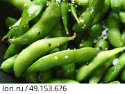 Edamame fresh soya beans close-up macro texture immature soybeans in the pod. Стоковое фото, агентство Ingram Publishing / Фотобанк Лори