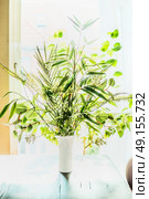 Lovely plants bunch in vase on table at window background. Florist arrangements with variety of green tropical plants.Home decor and interior, backlight. Стоковое фото, агентство Ingram Publishing / Фотобанк Лори