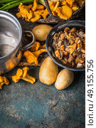 Various forest Mushrooms with potato on rustic kitchen table background, top view, place for text. Seasonal Autumn cooking concept. Стоковое фото, агентство Ingram Publishing / Фотобанк Лори