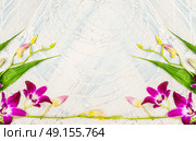 Purple Lilies on light shabby chic background, florist arrangements, floral border. Стоковое фото, агентство Ingram Publishing / Фотобанк Лори