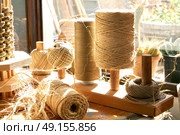 Esparto halfah grass used for crafts as cords basketry and espadrilles. Стоковое фото, агентство Ingram Publishing / Фотобанк Лори