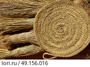 Esparto halfah grass used for crafts as cords basketry and espadrilles. Стоковое фото, агентство Ingram Publishing / Фотобанк Лори