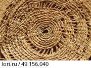 Esparto halfah grass used for crafts as cords basketry and espadrilles. Стоковое фото, агентство Ingram Publishing / Фотобанк Лори