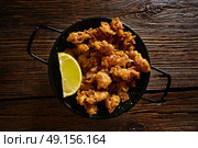Puntilla Tapas fried little breaded squid of spain. Стоковое фото, агентство Ingram Publishing / Фотобанк Лори