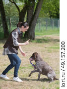 dedicated girl training dog in kennel. Стоковое фото, агентство Ingram Publishing / Фотобанк Лори