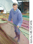 Man sraightening fishing net. Стоковое фото, агентство Ingram Publishing / Фотобанк Лори