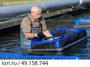 fishermen in action when collecting fish at a fishfarm. Стоковое фото, агентство Ingram Publishing / Фотобанк Лори