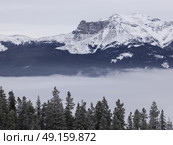 Trees with snowcapped mountain range in the background, Highway 16, Yellowhead Highway, Jasper, Jasper National Park, Alberta, Canada. Стоковое фото, агентство Ingram Publishing / Фотобанк Лори