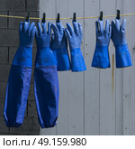 Fishing gloves hanging at harbor, West Dover, Halifax, Nova Scotia, Canada. Стоковое фото, агентство Ingram Publishing / Фотобанк Лори