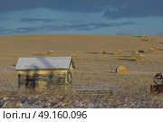 Barn and hay bales in a field, Cowboy Trail, Alberta Highway 22, Alberta, Canada. Стоковое фото, агентство Ingram Publishing / Фотобанк Лори