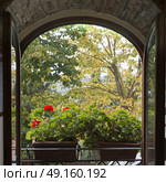 Open window showing flowers in window box , Radda in Chianti, Tuscany, Italy. Стоковое фото, агентство Ingram Publishing / Фотобанк Лори