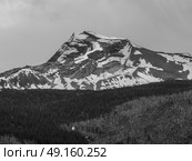 Trees with snowcapped mountain in the background, Going-to-the-Sun Road, Glacier National Park, Glacier County, Montana, USA. Стоковое фото, агентство Ingram Publishing / Фотобанк Лори